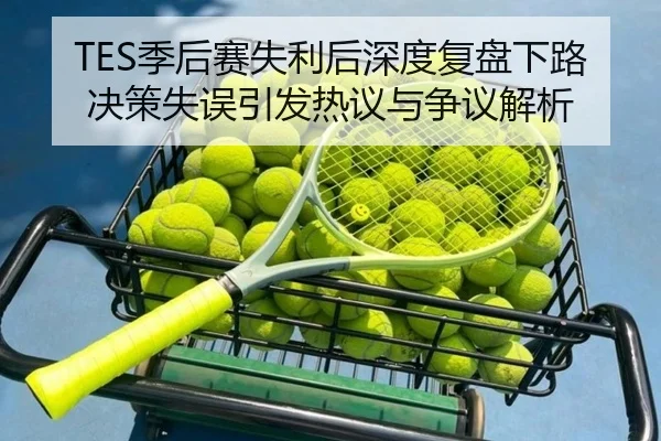 TES季后赛失利后深度复盘下路决策失误引发热议与争议解析